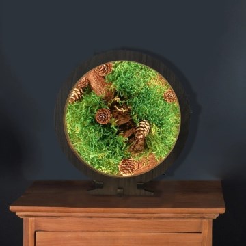 Li-Go 23654 - LED stmievateľná stolná dekorácia LED/12W/230V 20x22 cm orech/Machové zátišie