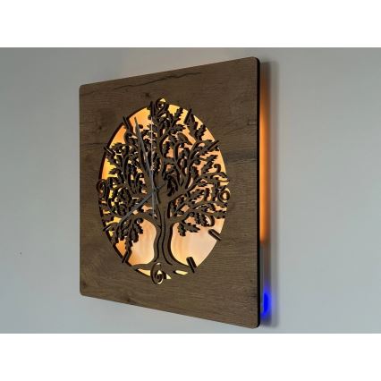 Li-Go 5652/DUB2 - LED stmievateľné hodiny LED/10W/5V 20000 mAh 42x42 cm dub/Dub v kruhu + diaľkové ovládanie