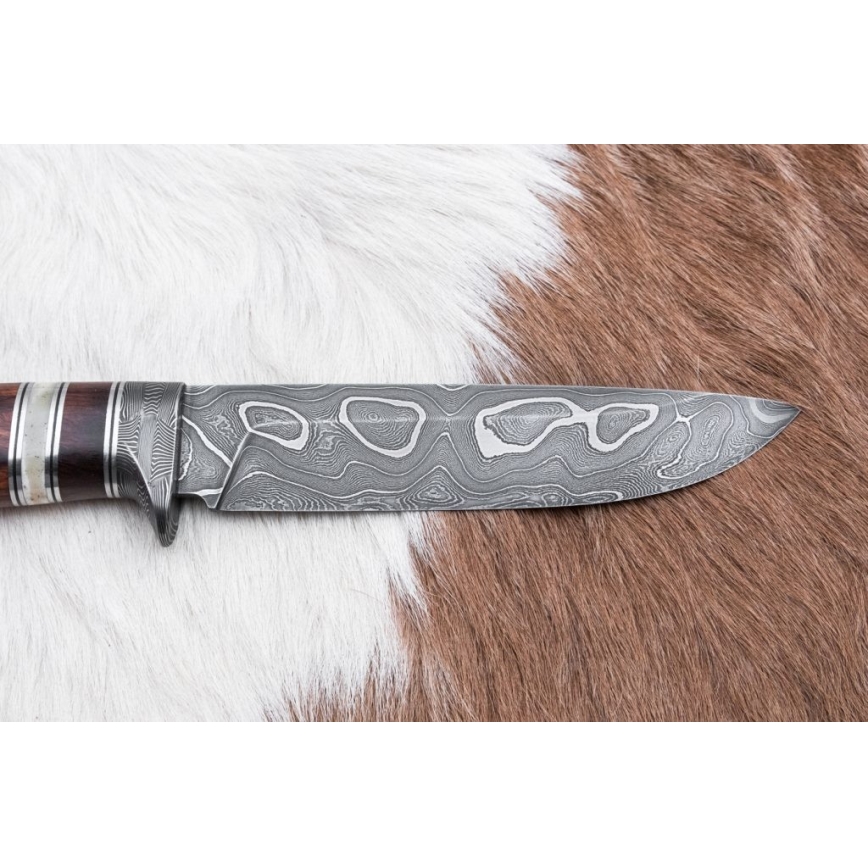 Lovecký damaškový nôž 13,8 cm ironwood/byvolia kosť