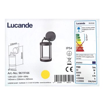 Lucande - LED Vonkajšie nástenné svietidlo CAIUS LED/12W/230V IP54