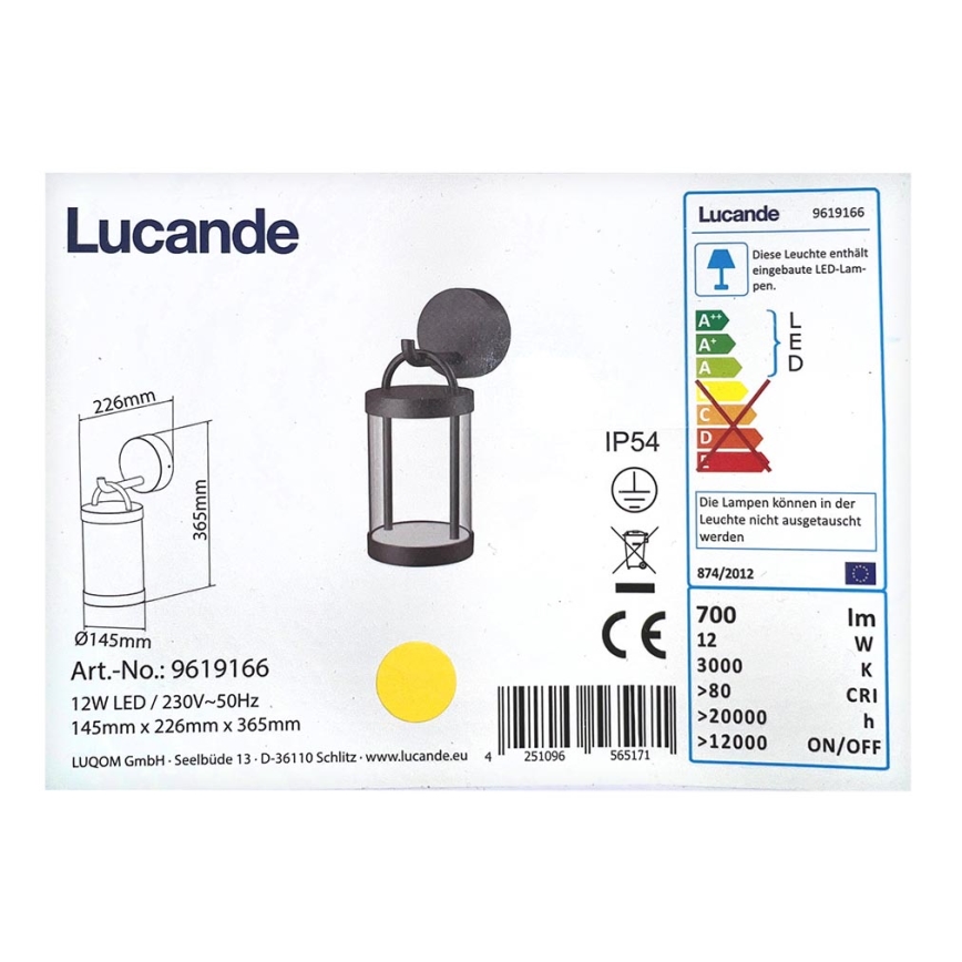 Lucande - LED Vonkajšie nástenné svietidlo CAIUS LED/12W/230V IP54