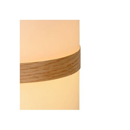 Lucide 06800/03/31 - LED Stmievateľná vonkajšia lampa JOE LED/3W/230V 680mAh IP44
