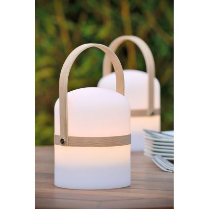 Lucide 06800/03/31 - LED vonkajšia stolná lampa JOE 1xLED/3W/230V