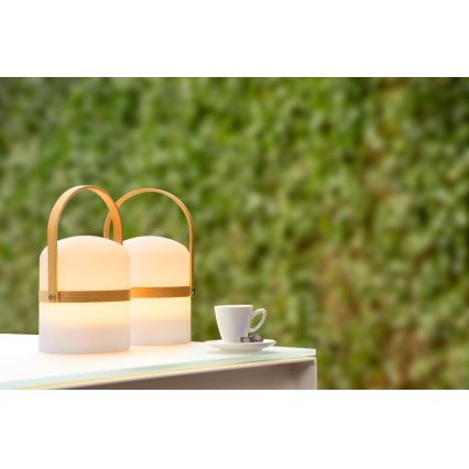 Lucide 06800/03/31 - LED Stmievateľná vonkajšia lampa JOE LED/3W/230V 680mAh IP44