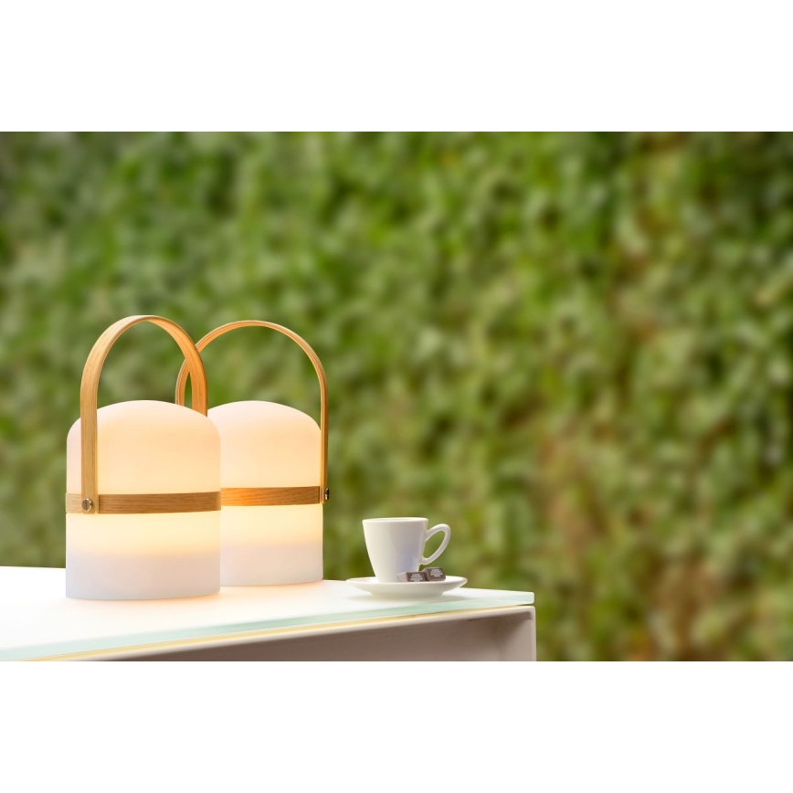Lucide 06800/03/31 - LED Stmievateľná vonkajšia lampa JOE LED/3W/230V 680mAh IP44