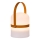 Lucide 06802/01/43 - LED Vonkajšia stmievateľná lampa LITTLE JOE LED/0,3W/3,7V USB IP44 680 mAh oranžová