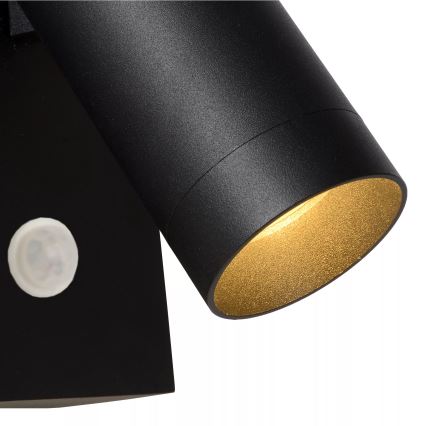 Lucide 09831/01/30 - Vonkajšie svietidlo s pohybovým senzorom TAYLOR 1xGU10/50W/230V IP54