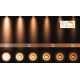 Lucide 09921/12/31 - LED Stmievateľné bodové svietidlo FEDLER 1xGU10/12W/230V 2200-3000K CRI95 biela