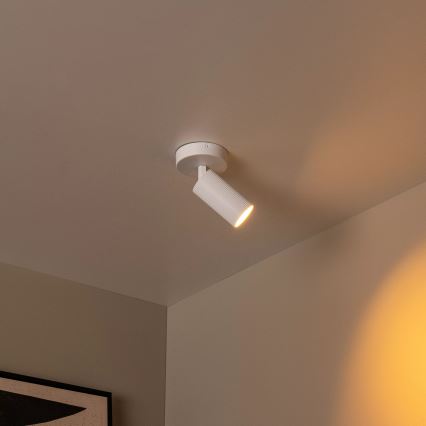 Lucide 09939/01/31 - Nástenné bodové svietidlo CLUBS 1xGU10/40W/230V biela