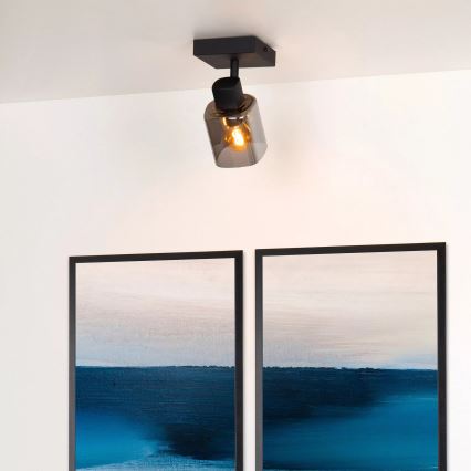 Lucide 17999/01/30 - Bodové svietidlo ALION 1xE14/25W/230V