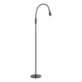 Lucide 18756/03/30 - LED Stmievateľná flexibilná dotyková stojacia lampa ZOZY LED/4W/230V čierna