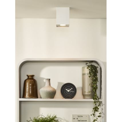 Lucide 22953/01/31 - Bodové svietidlo TUBE 1xGU10/42W/230V