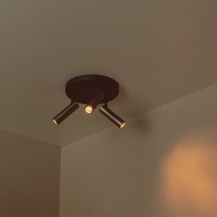 Lucide 22974/13/15 - Bodové svietidlo GRADO 3xGU10/12W/230V hnedá/čierna