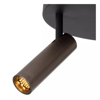 Lucide 22974/13/15 - Bodové svietidlo GRADO 3xGU10/12W/230V hnedá/čierna