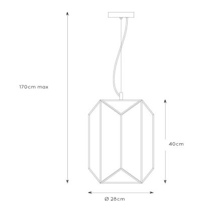 Lucide 25407/01/30 - Luster na lanku FERN 1xE27/60W/230V