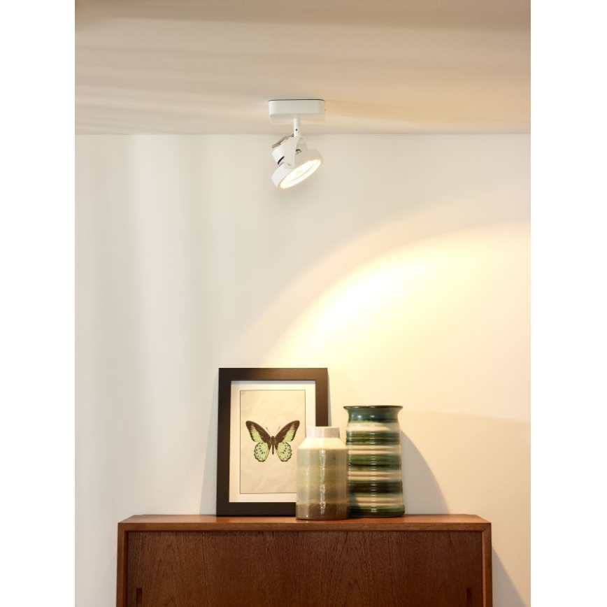 Lucide 31930/12/31 - LED Stmievateľné bodové svietidlo TALA LED 1xG53/12W/230V/12V