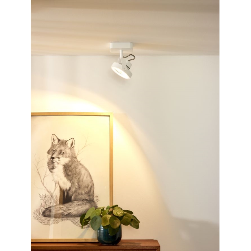 Lucide 31930/12/31 - LED Stmievateľné bodové svietidlo TALA LED 1xG53/12W/230V/12V