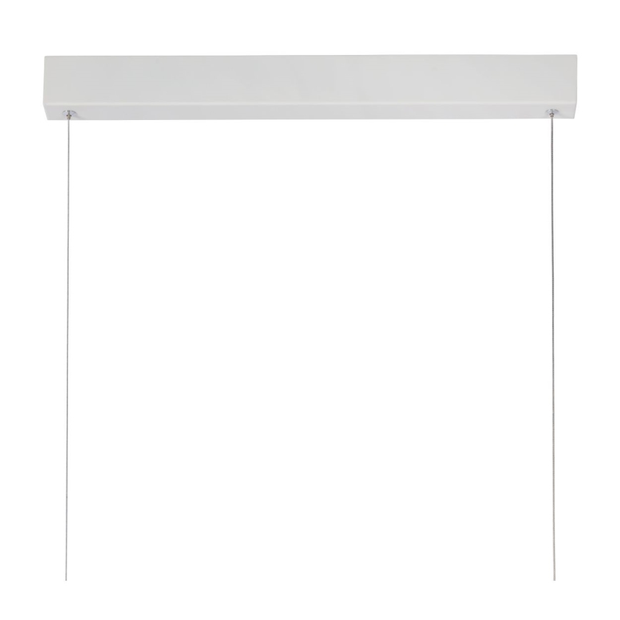Lucide 45455/50/31 - LED závesné svietidlo RAYA LED LED/50W/230V biela