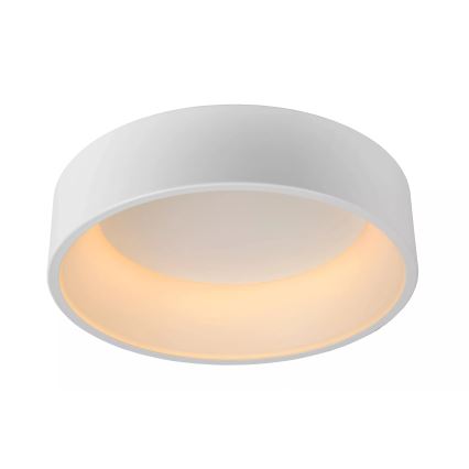 Lucide 46100/32/31 - LED Stmievateľné stropné svietidlo TALOWE LED LED/30W/230V