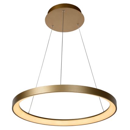 Lucide 46403/48/02 - LED Stmievateľný luster na lanku VIDAL LED/48W/230V pr. 58 cm zlatá