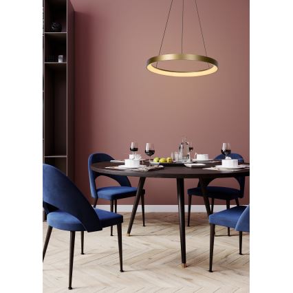 Lucide 46403/48/02 - LED Stmievateľný luster na lanku VIDAL LED/48W/230V pr. 58 cm zlatá