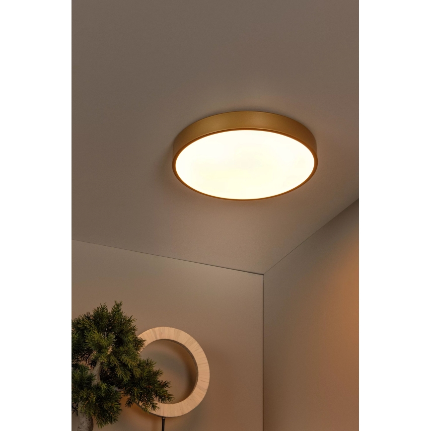 Lucide 79185/40/02 - LED Stmievateľné stropné svietidlo UNAR LED/24W/230V pr. 39,5 cm zlatá