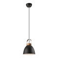 Luster na lane DANIELLE 1xE27/60W/230V buk