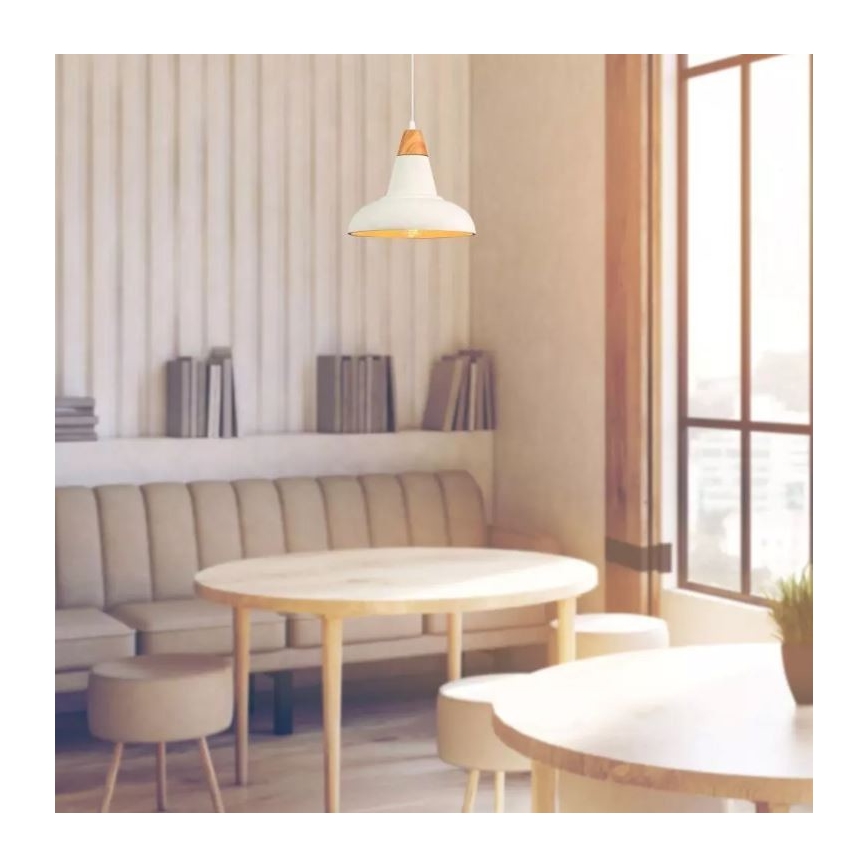 Luster na lanku 1xE27/60W/230V