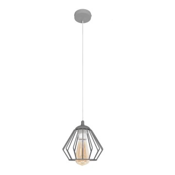 Luster na lanku AGAT 1xE27/15W/230V