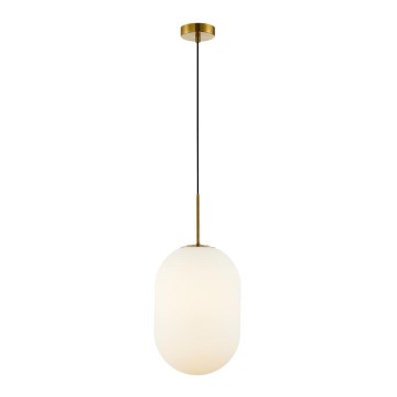 Luster na lanku ALIAS 1xE14/40W/230V pr. 24 cm zlatá