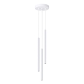 Luster na lanku ARCHE 3xG9/8W/230V biela