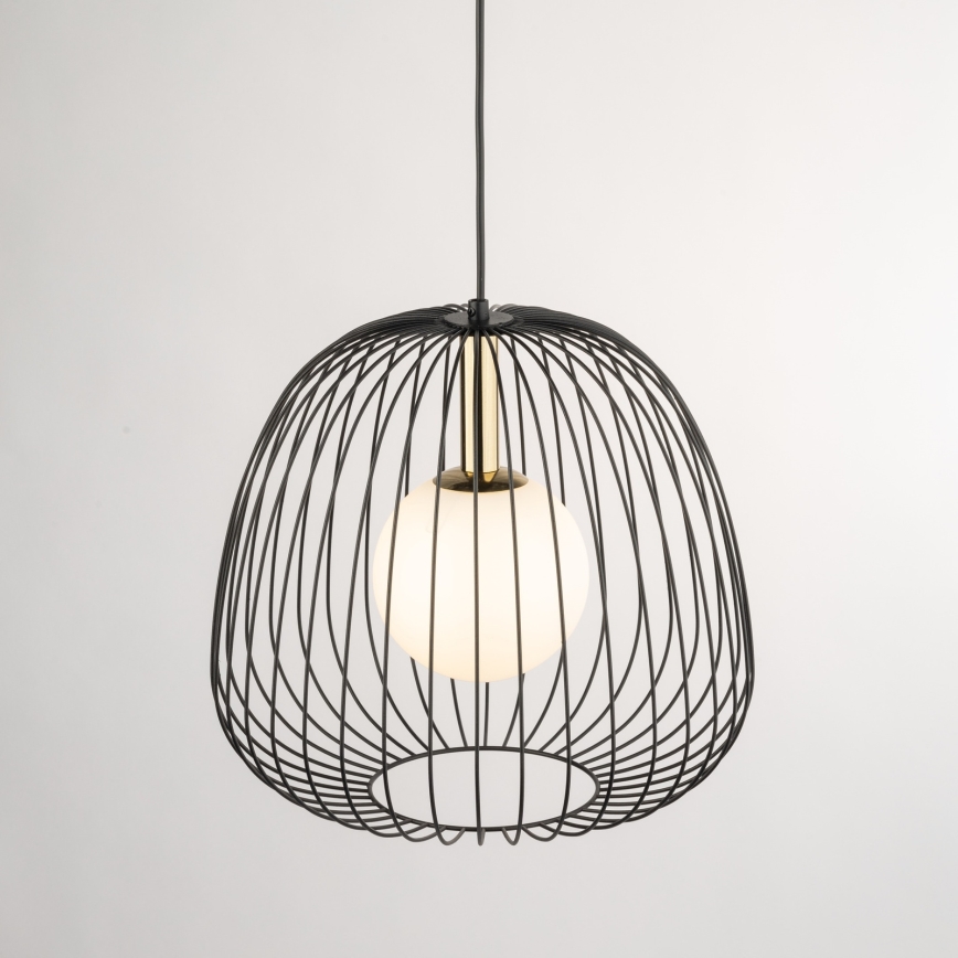 Luster na lanku BELL 1xG9/12W/230V pr. 33 cm čierna/zlatá