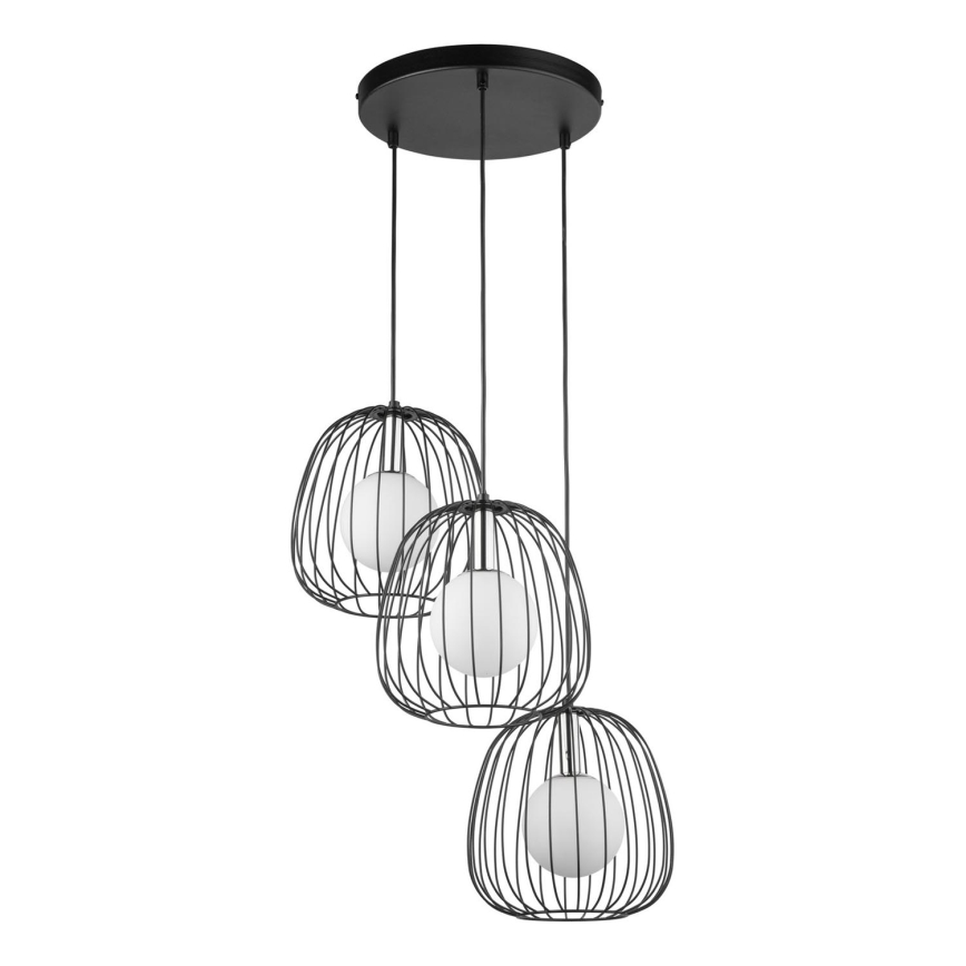 Luster na lanku BELL 3xG9/12W/230V čierna/lesklý chróm