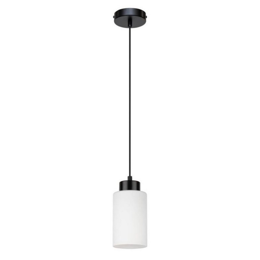 Luster na lanku BOSCO 1xE27/60W/230V