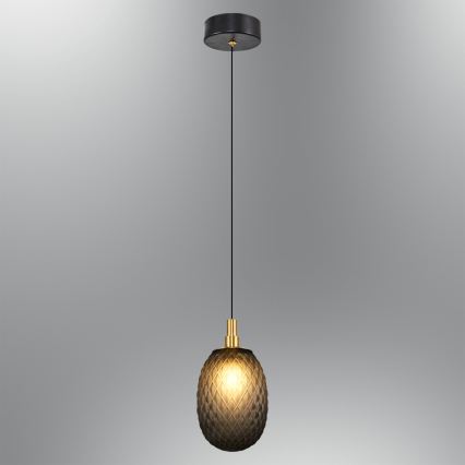 Luster na lanku CACTUS 1xG9/5W/230V čierny