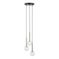 Luster na lanku DAISY 3xG9/12W/230V pr. 27 cm lesklý chróm/čierna/číra
