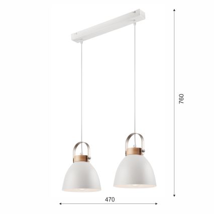 Luster na lanku DANIELLE 2xE27/60W/230V buk