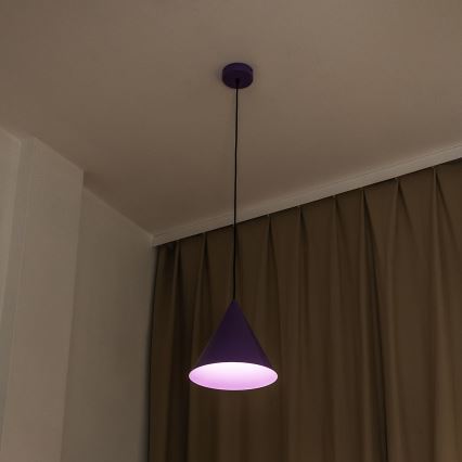 Luster na lanku ETNA II 1xE27/15W/230V pr. 25 cm fialový