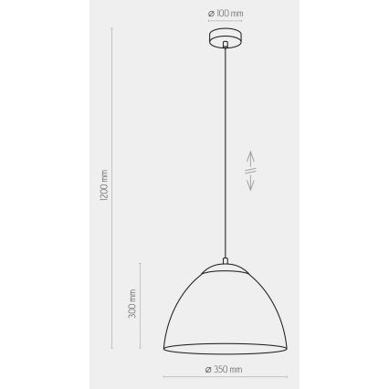 Luster na lanku FARO 1xE27/60W/230V čierna