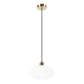Luster na lanku HARMA 1xE27/15W/230V pr. 25 cm biela/zlatá