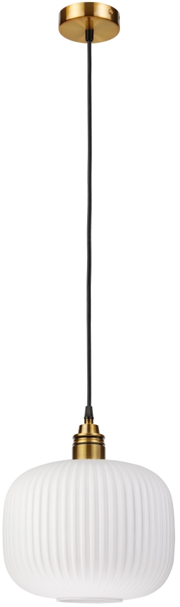 Luster na lanku HECTOR 1xE27/15W/230V, priemer 25 cm