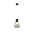 Luster na lanku MOLDO 1xE27/40W/230V čierna/číra