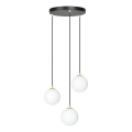 Luster na lanku ROYAL 3xE14/10W/230V pr. 30 cm čierna