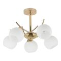 Luster na tyči AMOS 5xE27/40W/230V zlatá
