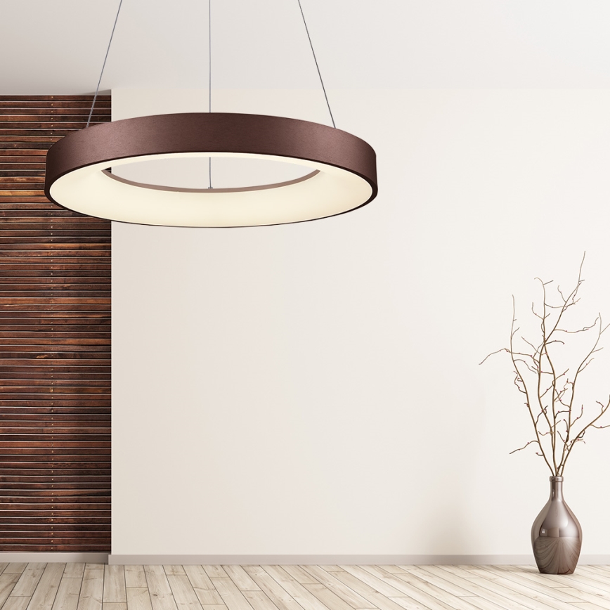 LUXERA 18407 - LED stmievateľný luster na lane GENTIS LED/50W/230V