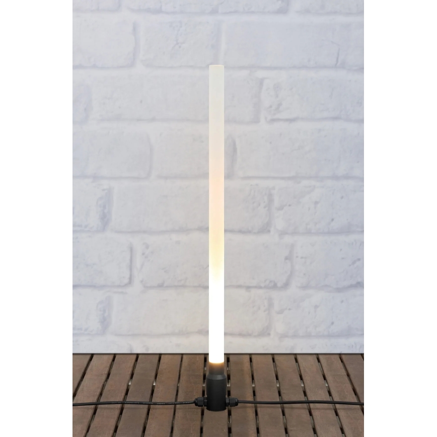 Markslöjd 107719 - LED vonkajšie svietidlo GARDEN24 LED/3W/24V 57,5 cm IP44 čierna/číra