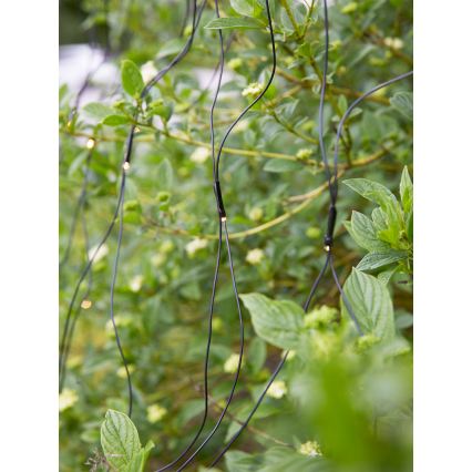 Markslöjd 108178 - LED Vonkajší vianočný záves GARDEN24 160xLED/4W/24V 2x2m teplá biela