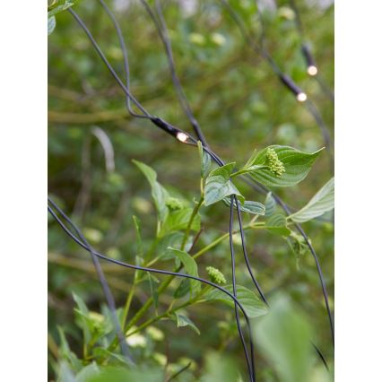 Markslöjd 108178 - LED Vonkajší vianočný záves GARDEN24 160xLED/4W/24V 2x2m teplá biela