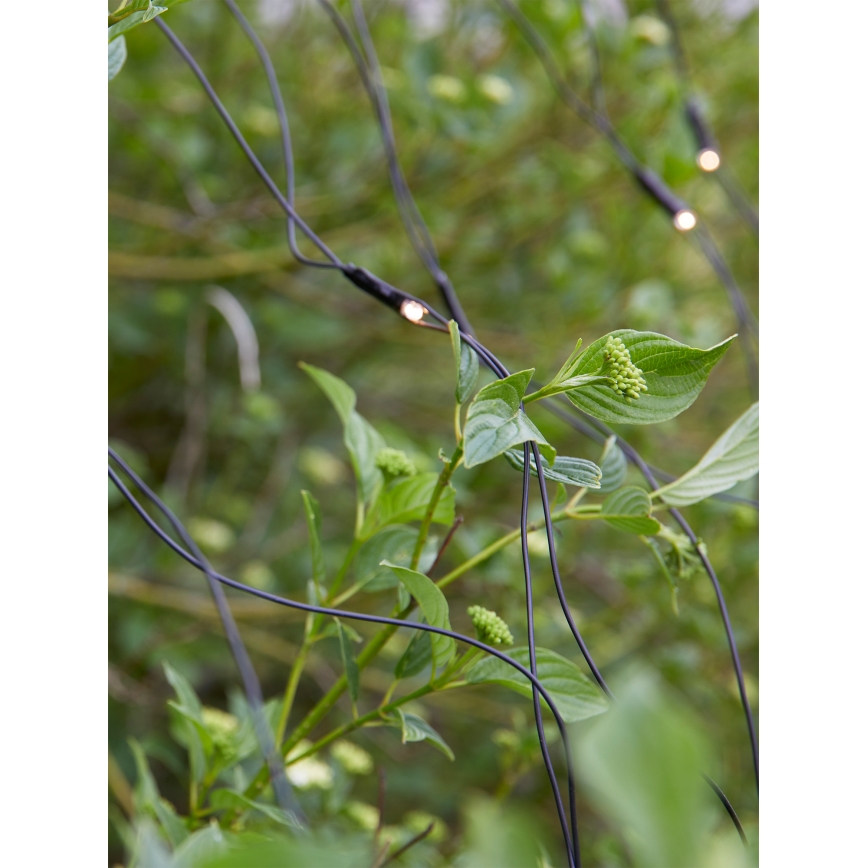 Markslöjd 108178 - LED Vonkajší vianočný záves GARDEN24 160xLED/4W/24V 2x2m teplá biela