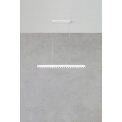Markslöjd 108892 - LED stmievateľný luster na lanku PLANO LED/38W/230V biela